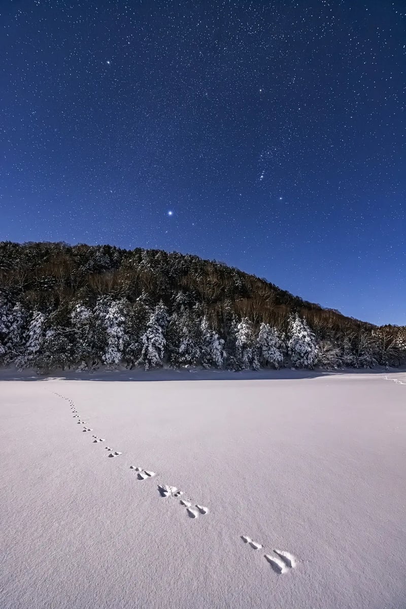 SNOW（雪） と SORA（宙） が出会う場所 —— 長野の「天」と「地」の